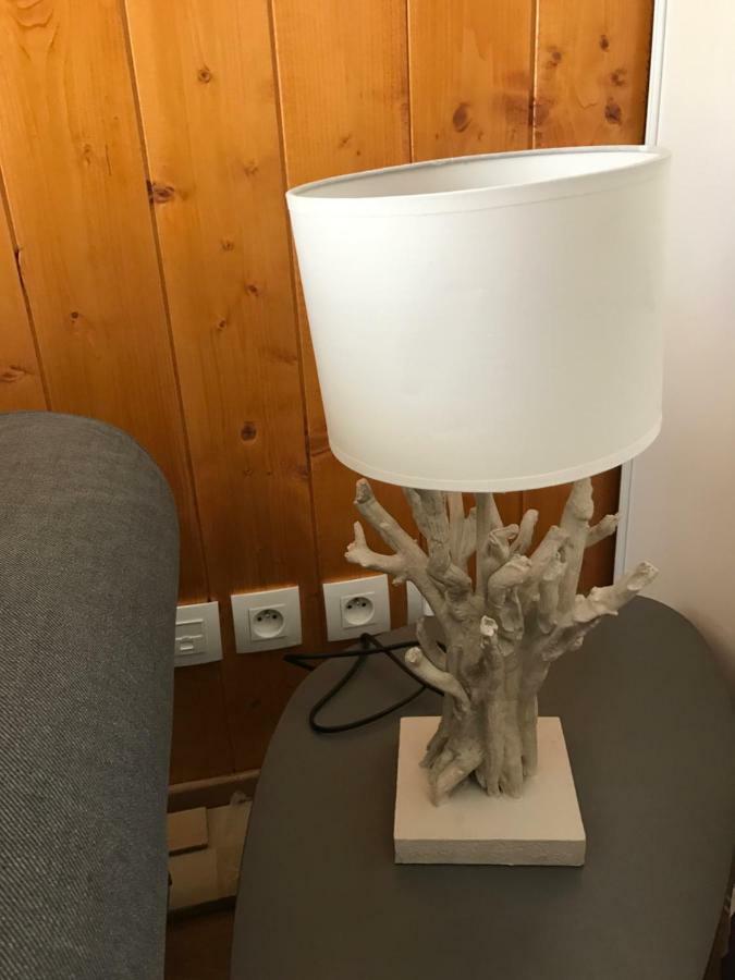 Appartement Tt Confort Au Coeur Des Montagnes Avec Vue Sur Les Montagnes Wifi Luz-Saint-Sauveur Zewnętrze zdjęcie